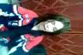 smiech