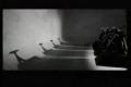 Apocalyptica - Path Cult