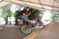 bmx 12224242