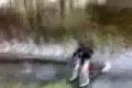 bike in the ice