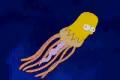 Homer Simpson - Evolúcia