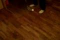 Floorball loser tricks