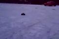 RcCars