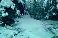 skok...