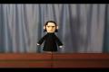 Harry Puppets