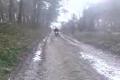 minibike