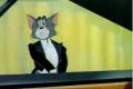 Tom & Jerry