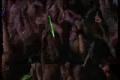 Tokio Hotel - Der letzte Tag (Live DVD)