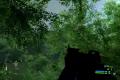 CRYSIS 2007