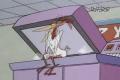 cow and chicken