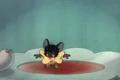 Tom a Jerry