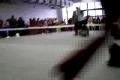 DOG SHOW TRENCIN - 27.01.2008