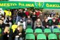 MsHK Zilina