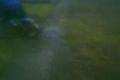 babeta