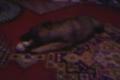 kesy
