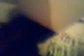 Facka :DDD