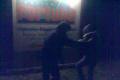 Fight - Fortuna vs. Jeffo