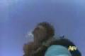 Popis videa: