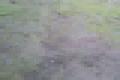 moje lasky