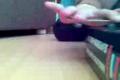 Project Fingerboard 2
