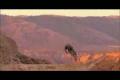Sports-Freeride Maneras de pasar el rato Flying High Again-javibunyol