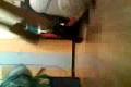 futbal