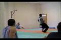 capoeira