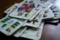 Schuull 3