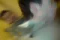 Agresor Riso