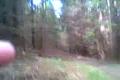 dirtbike 250