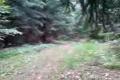 dirtbike 250