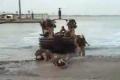 Comando