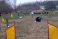 agility