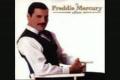 freddie mercury