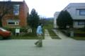 sk8patooo