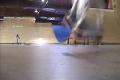 Pes na skateboardu