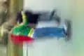 skate girl ndca