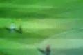 7 KRASNICH GOLOV Z FIFA 2008