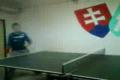 Lesenice ping-pong