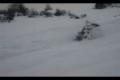 FOREST JUMP