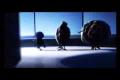 HOLLY DOLLY - dolly song ( reggae remix )