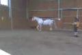 rupia