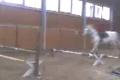 rupia