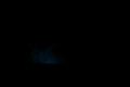 X-Files 2 Trailer 2