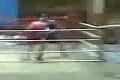 boxing dca - deci