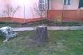Domadice parkour 3