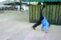 Parkour
