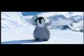 HAPPY FEET