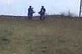 deno and rado