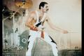 Freddy Mercury